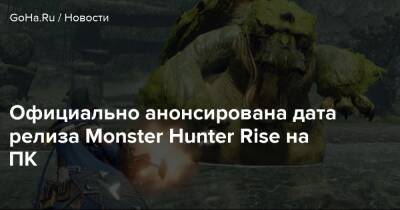 Официально анонсирована дата релиза Monster Hunter Rise на ПК - goha.ru