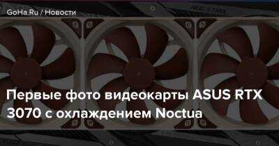 Первые фото видеокарты ASUS RTX 3070 с охлаждением Noctua - goha.ru - Вьетнам