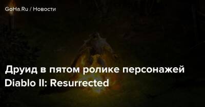 Друид в пятом ролике персонажей Diablo II: Resurrected - goha.ru