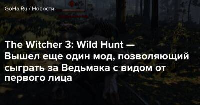 The Witcher 3: Wild Hunt — Вышел еще один мод, позволяющий сыграть за Ведьмака с видом от первого лица - goha.ru