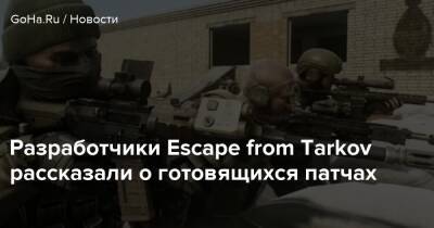 Разработчики Escape from Tarkov рассказали о готовящихся патчах - goha.ru