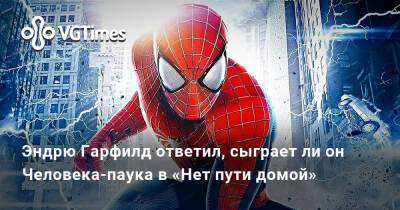 Эндрю Гарфилд - Питер Паркер - Томас Холланд (Tom Holland) - Эндрю Гарфилд ответил, сыграет ли он Человека-паука в «Нет пути домой» - vgtimes.ru - Россия