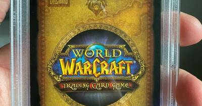 Игрок в World of Warcraft купил редкого маунта за ₽366 тысяч - cybersport.ru