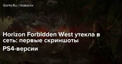 Horizon Forbidden West утекла в сеть: первые скриншоты PS4-версии - goha.ru
