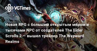 Тед Петерсон (Ted Peterson) - Новая RPG с большим открытым миром и тысячами NPC от создателей The Elder Scrolls 2 — вышел трейлер The Wayward Realms - vgtimes.ru