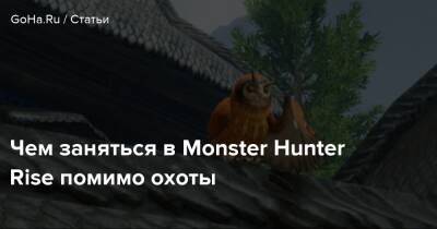 Чем заняться в Monster Hunter Rise помимо охоты - goha.ru - Англия