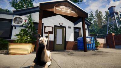 Разработчики игры Animal Shelter пожертвуют деньги приютам для животных - cubiq.ru