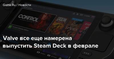 Александр Бастрыкин - Valve все еще намерена выпустить Steam Deck в феврале - goha.ru - Китай - Россия