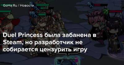 Duel Princess была забанена в Steam, но разработчик не собирается цензурить игру - goha.ru
