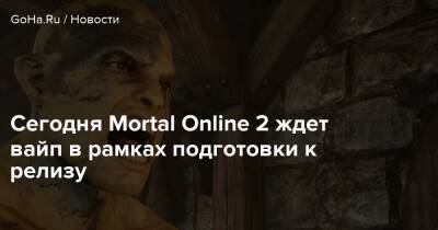 Сегодня Mortal Online 2 ждет вайп в рамках подготовки к релизу - goha.ru