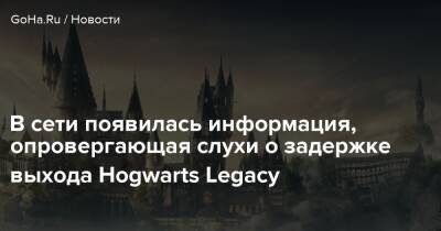Гарри Поттер - Дж.К.Роулинг - Колин Мориарти - В сети появилась информация, опровергающая слухи о задержке выхода Hogwarts Legacy - goha.ru - Англия