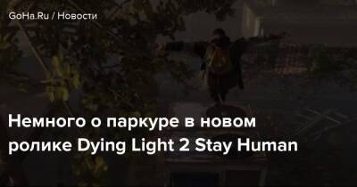 Эрик Крипке - Джастин Ройланда - Немного о паркуре в новом ролике Dying Light 2 Stay Human - goha.ru