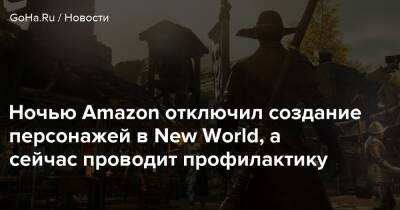 Ли Чайлд - Ночью Amazon отключил создание персонажей в New World, а сейчас проводит профилактику - goha.ru - Япония