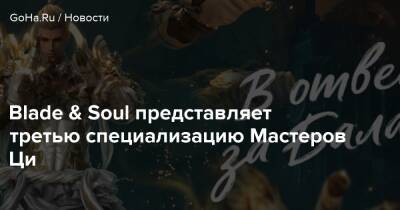 Blade & Soul представляет третью специализацию Мастеров Ци - goha.ru