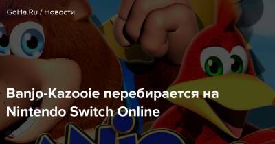 Banjo-Kazooie перебирается на Nintendo Switch Online - goha.ru - Япония