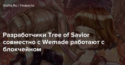 Разработчики Tree of Savior совместно с Wemade работают с блокчейном - goha.ru - Япония