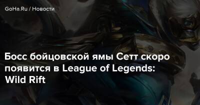 Джон Рэкхем - Босс бойцовской ямы Сетт скоро появится в League of Legends: Wild Rift - goha.ru