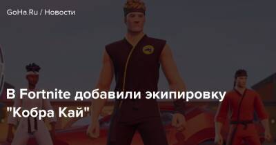 В Fortnite добавили экипировку “Кобра Кай” - goha.ru