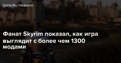 Фанат Skyrim показал, как игра выглядит с более чем 1300 модами - goha.ru - Россия