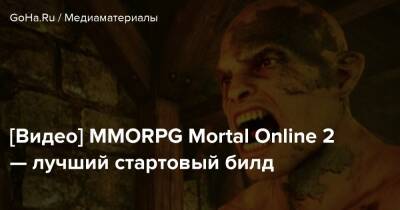 [Видео] MMORPG Mortal Online 2 — лучший стартовый билд - goha.ru - Япония