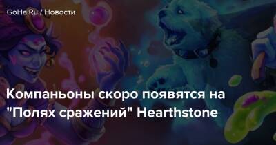 Дина Басс - Компаньоны скоро появятся на “Полях сражений” Hearthstone - goha.ru