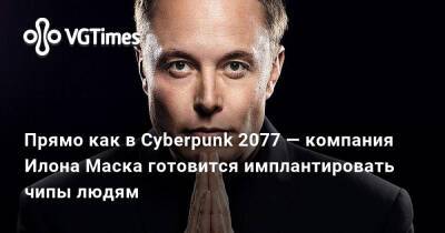 Илон Маск - Илона Маска - Прямо как в Cyberpunk 2077 — компания Илона Маска готовится имплантировать чипы людям - vgtimes.ru
