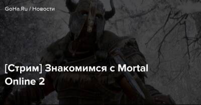 [Стрим] Знакомимся с Mortal Online 2 - goha.ru