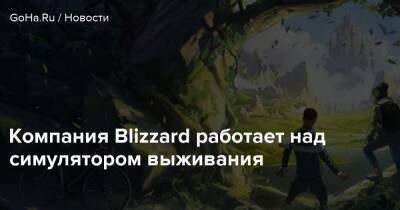 Компания Blizzard работает над симулятором выживания - goha.ru