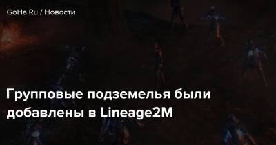 Групповые подземелья были добавлены в Lineage2M - goha.ru