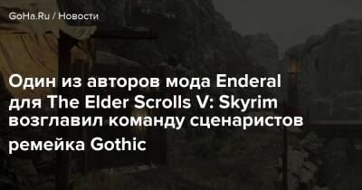 Николас Лицау - Один из авторов мода Enderal для The Elder Scrolls V: Skyrim возглавил команду сценаристов ремейка Gothic - goha.ru
