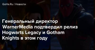 Генеральный директор WarnerMedia подтвердил релиз Hogwarts Legacy и Gotham Knights в этом году - goha.ru
