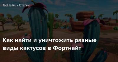 Как найти и уничтожить разные виды кактусов в Фортнайт - goha.ru