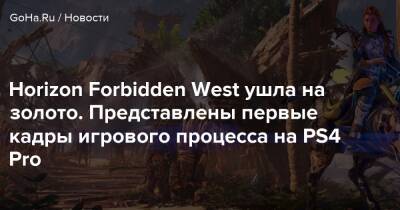 Horizon Forbidden West ушла на золото. Представлены первые кадры игрового процесса на PS4 Pro - goha.ru