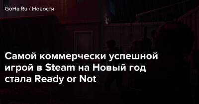 Самой коммерчески успешной игрой в Steam на Новый год стала Ready or Not - goha.ru