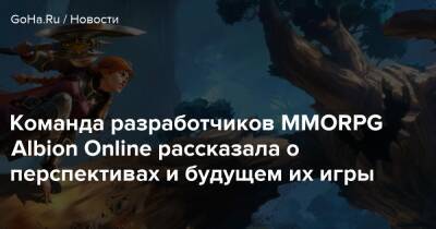 Команда разработчиков MMORPG Albion Online рассказала о перспективах и будущем их игры - goha.ru