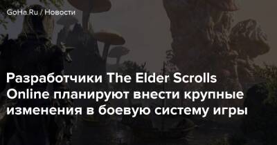 Разработчики The Elder Scrolls Online планируют внести крупные изменения в боевую систему игры - goha.ru