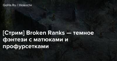 [Стрим] Broken Ranks — темное фэнтези с матюками и профурсетками - goha.ru