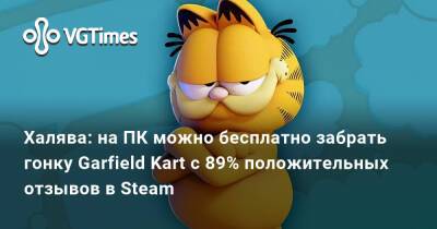 Халява: на ПК можно бесплатно забрать гонку Garfield Kart с 89% положительных отзывов в Steam - vgtimes.ru
