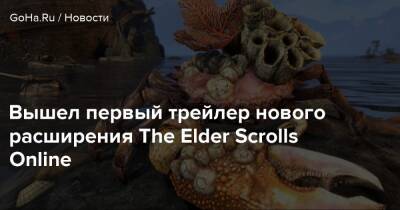 Вышел первый трейлер нового расширения The Elder Scrolls Online - goha.ru