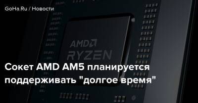 Сокет AMD AM5 планируется поддерживать "долгое время" - goha.ru - Россия - Япония