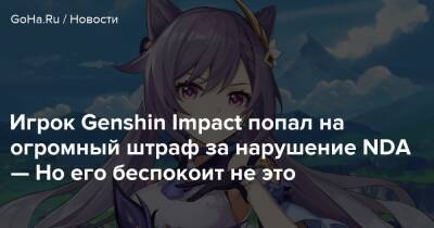Кэ Цин - Игрок Genshin Impact попал на огромный штраф за нарушение NDA — Но его беспокоит не это - goha.ru - Китай