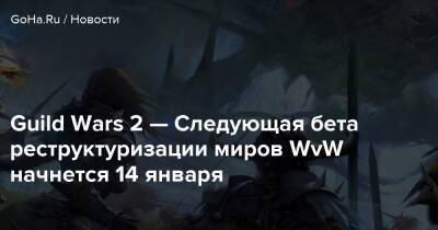 Guild Wars 2 — Следующая бета реструктуризации миров WvW начнется 14 января - goha.ru
