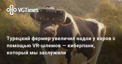 Турецкий фермер увеличил надои у коров с помощью VR-шлемов — киберпанк, который мы заслужили - vgtimes.ru - Россия - Турция - Москва - Красногорск