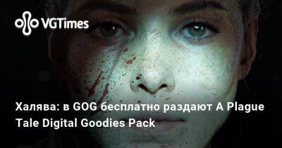 Халява: в GOG бесплатно раздают A Plague Tale Digital Goodies Pack - vgtimes.ru
