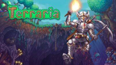 Terraria стала первой игрой, набравшей более 1 миллиона положительных отзывов в Steam - playground.ru