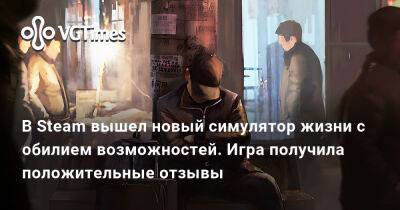 В Steam вышел новый симулятор жизни с обилием возможностей. Игра получила положительные отзывы - vgtimes.ru