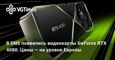 В DNS появились видеокарты GeForce RTX 4080. Цены — на уровне Европы - vgtimes.ru - Сша