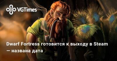 Dwarf Fortress готовится к выходу в Steam — названа дата - vgtimes.ru