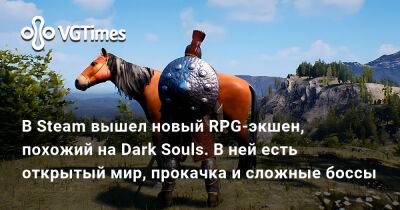 В Steam вышел новый RPG-экшен, похожий на Dark Souls. В ней есть открытый мир, прокачка и сложные боссы - vgtimes.ru