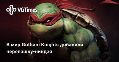 София Блейд - В мир Gotham Knights добавили черепашку-ниндзя - vgtimes.ru